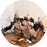 %Professional Water Damage Repair Services %A#1
