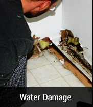 %Professional Water Damage Repair Services %A#1